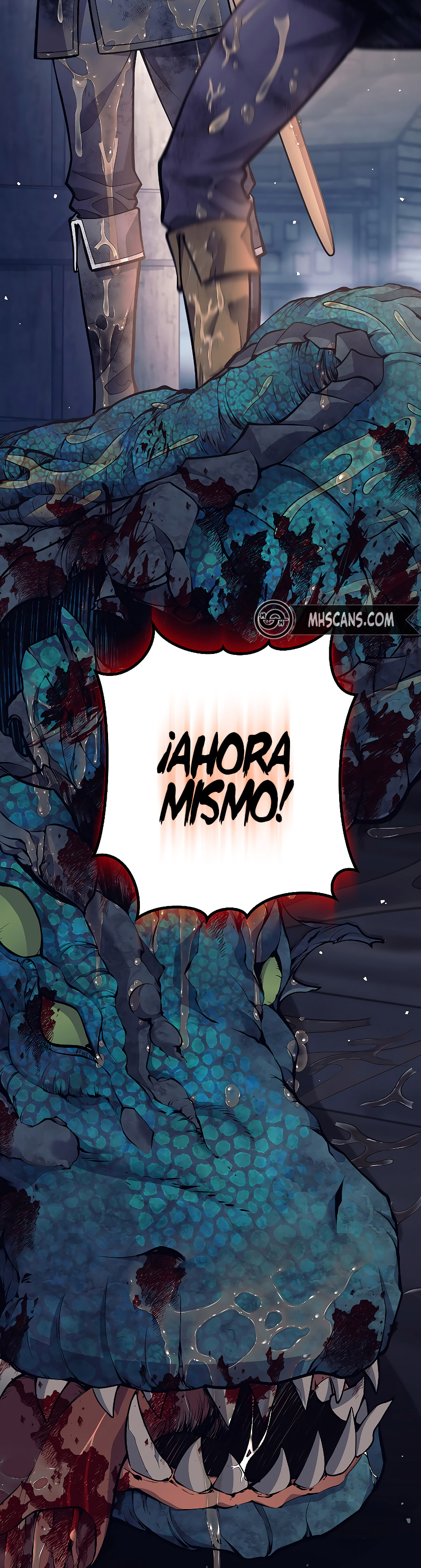 Página 19