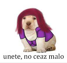 Página 33