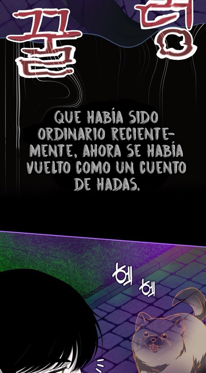 Página 46