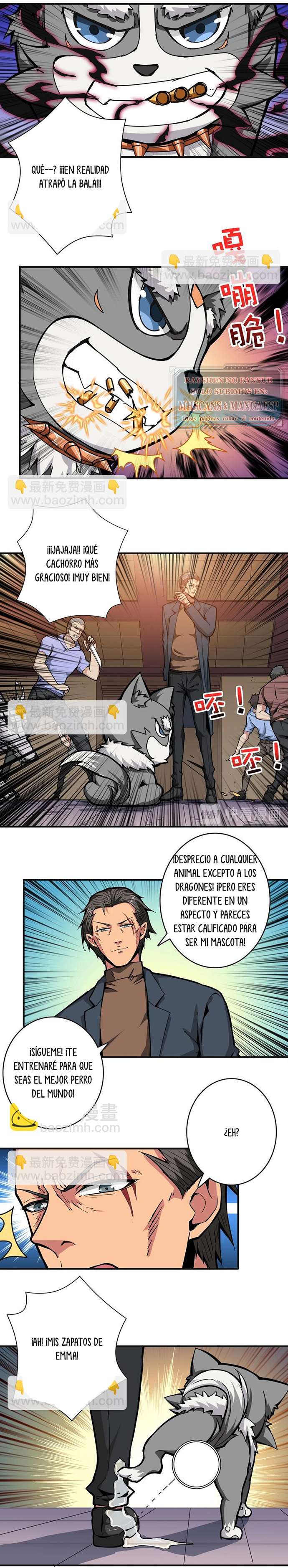 Página 7