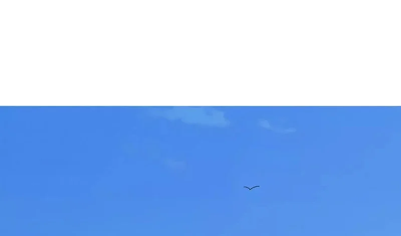 Página 53
