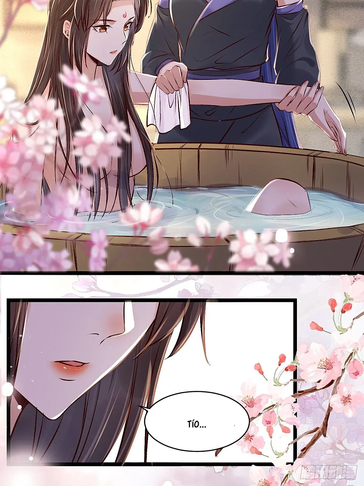 Página 29