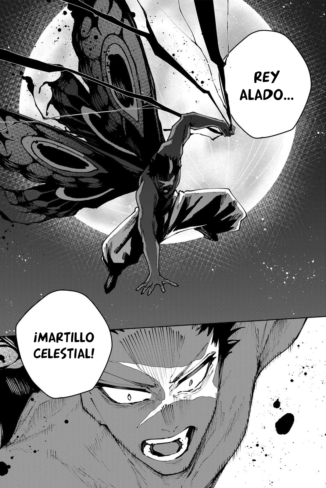 Página 19