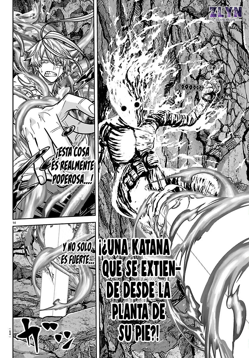 Página 17