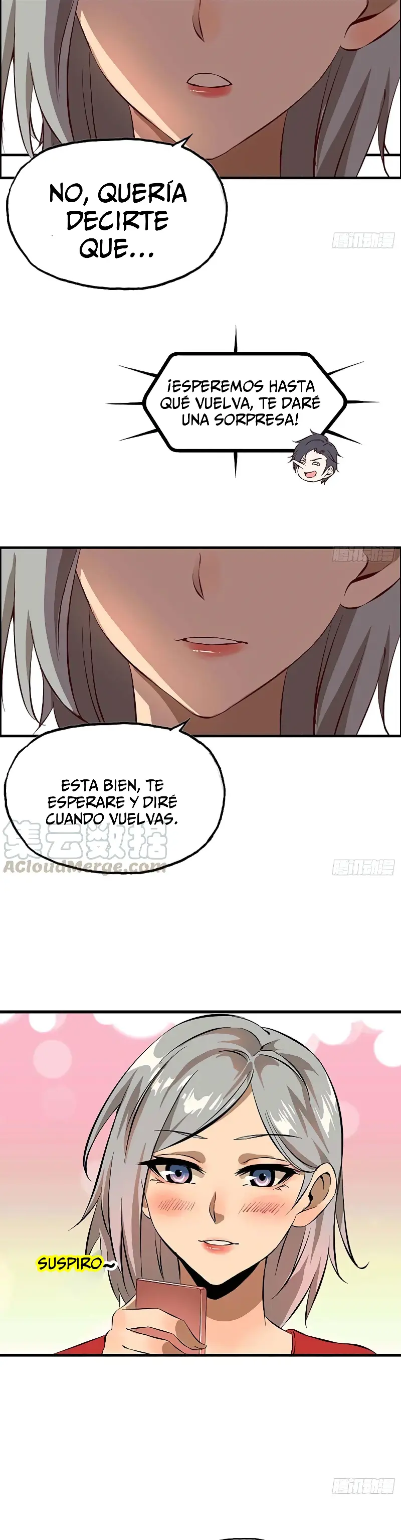 Página 17